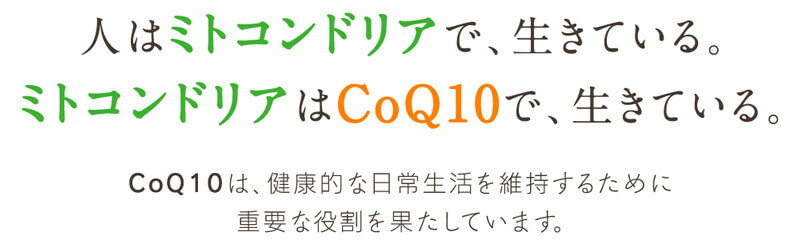 【タンポポQ10 1ヶ月分】ミトコンドリア 妊活 ジオスゲニン 山芋 コエンザイムQ10 亜鉛 DHEA dheaサプリ ビタミンC