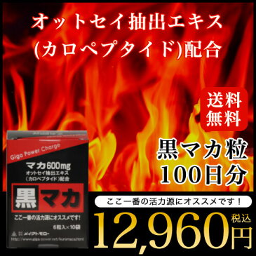 【黒マカ粒 100日分】マカ600mg オットセイエキス配合 送料無料 黒マカ 男性 妊活 オットセイエキス マカ 生姜 亜鉛 滋養強壮 疲労 健康 メイクトモロー