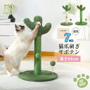 猫爪とぎポール 猫 爪研ぎ 麻紐 観葉植物 サボテン 縦型 バリバリ カリカリ 爪磨き 猫のおもちゃ キャットタワー 猫タワー かわいい インテリア おしゃれ 多頭飼い 省スペース 高さ65cm グリーン ホワイト