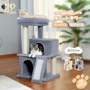 【P10倍・マラソン期間限定】キャットタワー 据え置き型 小型 猫タワー ハウス おもちゃ 麻紐 爪とぎ付き おしゃれ 省スペース 大型猫 猫用 おもちゃ ねこ...