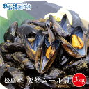 送料無料　松島 産直の天然ムール貝3kg 水揚げ後に活の状態で発送します！　ワイン蒸し パスタなどがおおすすめ　※ご注文のタイミングにより身入りがよくない場合はメールにて案内いたします