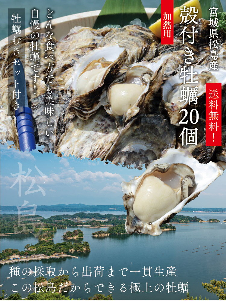 宮城県松島産 殻付き牡蠣20個 送料無料