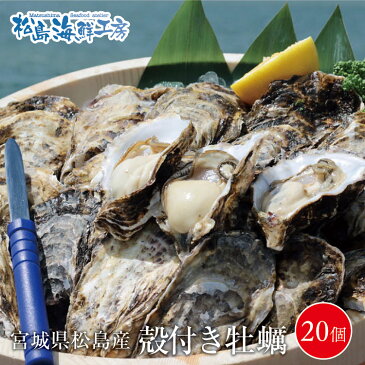 宮城県松島産 殻付き牡蠣20個 送料無料