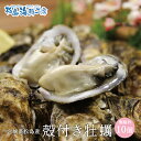 送料無料 松島産 産直 殻付き牡蠣 規格外 10個 (生食可能) 活出荷 牡蠣 カキ かき 貝 父の日