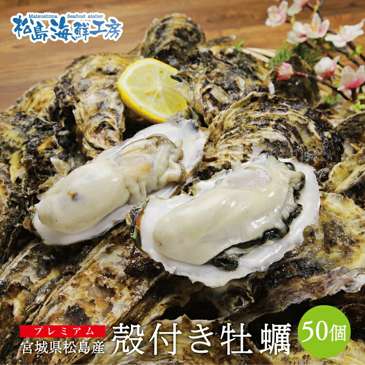 送料無料 プレミアム 松島産 産直　殻付き牡蠣　50個 （生食可能） 活出荷 牡蠣 カキ かき 貝　父の日