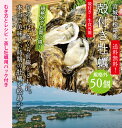 送料無料 松島産 産直 殻付き牡蠣　規格外　50個 （生食可能） 活出荷 牡蠣 カキ かき 貝　父の日 2