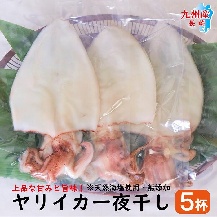 九州産 ヤリイカ 一夜干し 5枚セット（1枚：約150g） ...