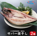 サバ一夜干し 2枚セット(1尾:約350g)( さば サバ 鯖 塩サバ 干物 一夜干し ノルウェー 魚 肴 美容 健康 ギフト )(4)