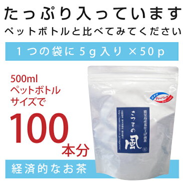 あす楽 お茶 ティーバック ティーパック さつまの風ティーバッグ(5g×50)水出し緑茶 鹿児島茶 水出し茶　お取り寄せ 【送料無料】【通年取扱商品】