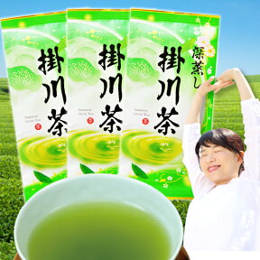 2023年度産 お茶 深蒸し掛川茶(100g×3) 深蒸し茶 300g 深蒸し茶 お茶 茶葉 静岡茶 煎茶 お茶 深むし茶 緑茶 掛川茶 お取り寄せ ポスト投函便送料無料