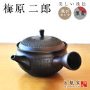 【南部鉄器】【カラーポット】岩鋳製 南部鉄器 急須 曳舟（ひきふね）南部鉄器 急須 南部鉄器 鉄瓶 カラーポット 和食器 カラー お中元ギフト 日本製 南部鉄器 岩鋳 敬老の日 ブライダル ギフト 出産内祝 結婚祝 お中元【楽ギフ_包装】【楽ギフ_のし宛書】