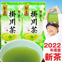 新茶予約 2022年度産 深蒸し茶 掛川茶100g×2袋セット お茶 茶葉 静岡茶 煎茶 深むし茶 緑茶 ポスト投函便送料無料