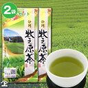 2023年度産 お茶 牧之原茶100g×2本　