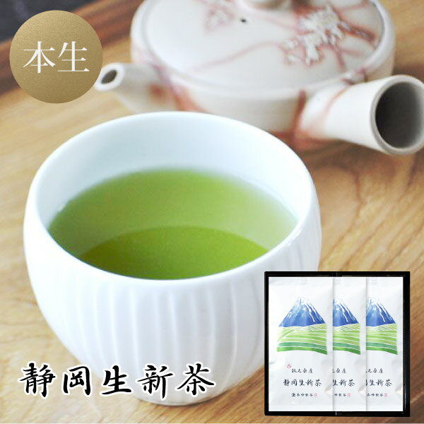 2024年 新茶入荷！ 2024年 新茶 ギフト