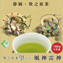 牧之原茶「望」ブランドお茶2本 風神雷神パッケージでプレゼントにも 静岡茶/緑茶/日本茶 ポスト投函便送料無料