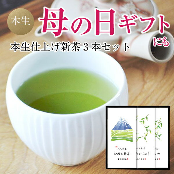 遅れてごめんね 2024年 新茶入荷！ 20