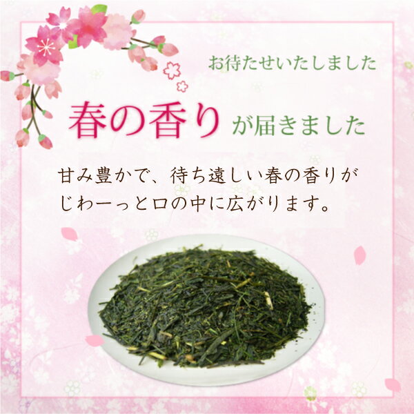《早春限定》お茶 春の息吹100g バレンタイン ホワイトデー お返し 御礼 ご挨拶 深蒸し茶 緑茶 プレゼント プチギフト ありがとう ポスト投函便送料無料格安通販　バレンタイン　人気　ランキング