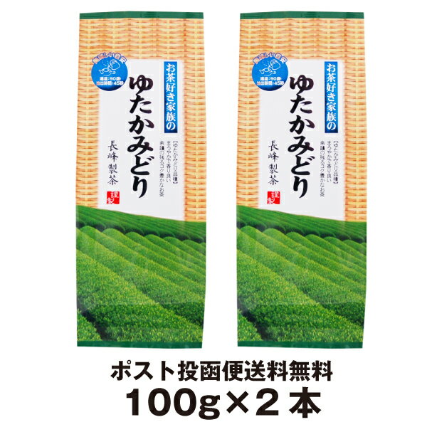 2023年度産 お茶好き家族の ゆたかみどり 100g×2本 鹿児島茶 緑茶 エピガロカテキン ポスト投函便送料無料