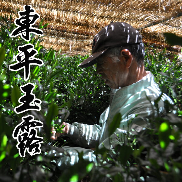 玉露 東平玉露60g 高級 前島東平 朝比奈玉露 高級茶 最上級 お茶 緑茶 ギフト プレゼント 日本茶 贈答品 御礼 お返し 御祝 快気祝 内祝い 慶事 仏事 お誕生日 還暦 古希 喜寿 米寿 送料無料