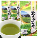 2023年度産 牧之原茶 100g×3本 日本茶 煎茶 緑茶 深蒸し茶 静岡茶 ポスト投函便送料無料