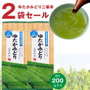 セール お茶 2024年産お茶好き家族のゆたかみどり100g×2袋煎茶セール 緑茶 エピガロカテキン ポスト投函便送料無料
