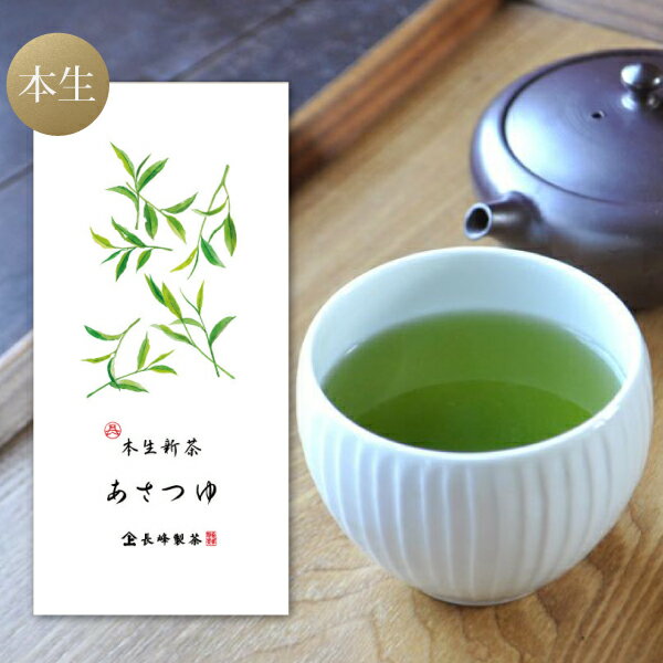 2024年 新茶入荷！新茶 入荷 ギフト 2