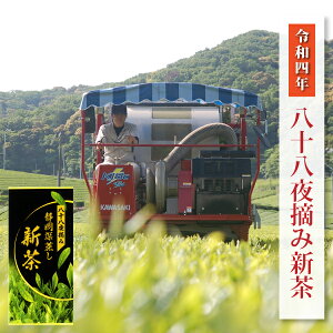 予約 新茶 お茶 2022静岡県産八十八夜摘み新茶80g 深蒸し茶 静岡茶 袋井茶 ポスト投函便送料無料