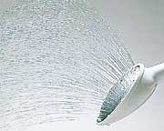 ���������̵�����ȥ�ܡ��ϥ��μ¡����