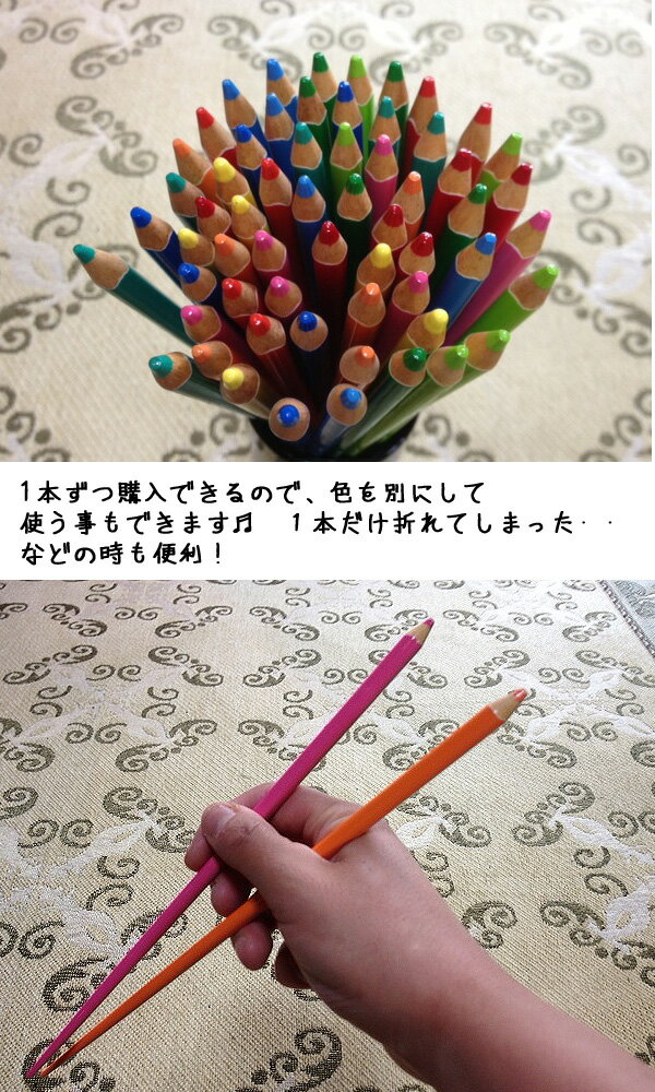 （10本以上で定形外送料無料！）【日本製 】色鉛筆箸　（色えんぴつ箸、えんぴつ箸）　22.5cm （1本）