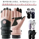 5本指 スポーツ 手袋 スノーボード てぶくろ ジュニア スキーグローブ スノーグローブ レディース スノーグローブ 厚手 保温 裏起毛 滑り止め 撥水加工 ウ...