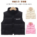 中綿ベスト キッズ 厚手 中綿入り 赤ちゃん ダウンベスト アウター 子供服 ベスト 女の子 ベビー 子ども 中綿ベスト 保育園 防寒 ベビー服 こどもベスト ...