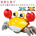 男の子 音楽 カニおもちゃ おもちゃ 知育玩具 音楽這うカニ カニ 充電式 幼児 電池式 引きずって歩ける 散歩 カニおもちゃ 赤ちゃん 自動的に障害物を回避す...