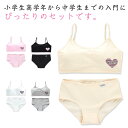 ジュニア向け スポーツブラ ノンワイヤーブラ 学生 下着セット 女の子 ジュニアブラジャー ショーツ ノンワイヤー 上下セット セット ブラジャー カップ付き ...