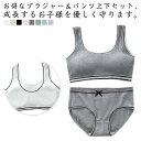 学生 セット 高校生 ジュニア向け ジュニアブラジャー シンプル 上下 スポーツブラ 運動 ジュニア向け ノンワイヤーブラ フィットネス ヨガ ベストタイプ ト...
