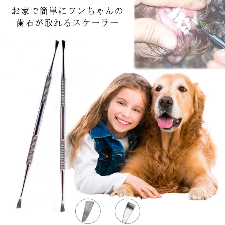 【送料無料】ペット用 デンタルケア 歯石取り 歯石取り 犬用 犬グッズ 両頭タイプ 歯石取り 歯垢対策 歯石除去用品 ハミガキ スケラー 猫用 トリミング用品 歯磨き 歯垢 家庭用 ハンドスケーラー ホームケア 老犬 虫歯痛み スケーラー