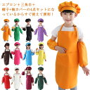 エプロン キッズ 無地エプロン4点セット エプロン+三角巾+帽子+袖カバー ノーアイロン キッズ 子供用 幼稚園 保育園 小学校 中学校 給食 絵かき 粘土遊び 調理実習 おしゃれ シンプル ポケット付き