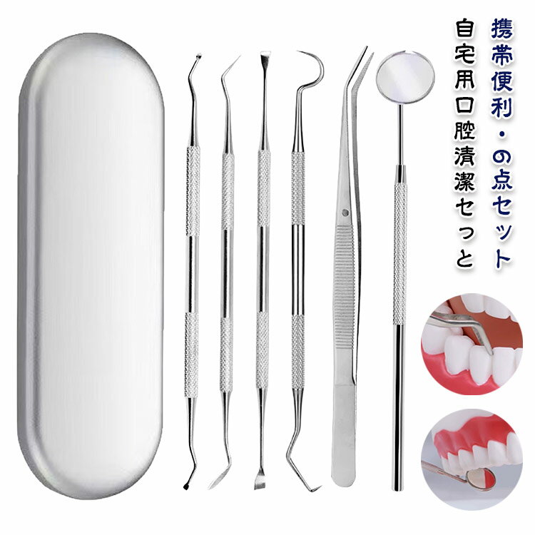 口臭予防 歯石取り 自宅用 口腔ケア器具 口腔清潔 自分で取る ステンレス製 ヤニとり 先極細 歯石とり デンタルツール 歯科ツールセット 虫歯 歯石除去 プロ仕様 器具 スケーラー 歯垢 敬老の日