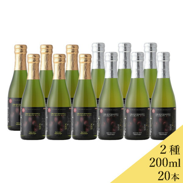 たてしなップル　シードルスペシャリテ200ml 20本セット　デミセック　ブリュット 200ml×20 送料込 （沖縄別途1,060円）信州産 シードル 20歳未満の飲酒・販売は法律で禁止されています