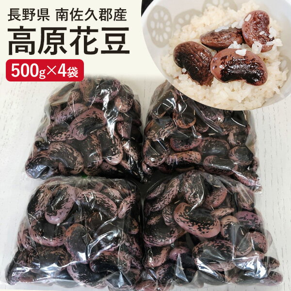 高原花豆 500g 4袋 送料込(沖縄別途590