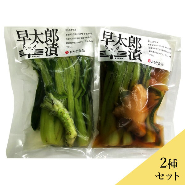 野沢菜 早太郎漬け2種 生わさび しょうが味噌漬け 入りセット 送料込 沖縄別途240円 