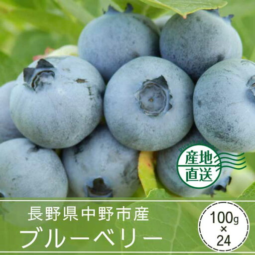 【送料込】中野市産ブルーベリー(100gパック×24入り)※7月上旬~ 順次発送 【送料込】中野市産ブルーベリー(100gパック×24入り)※7月上旬~ 順次発送