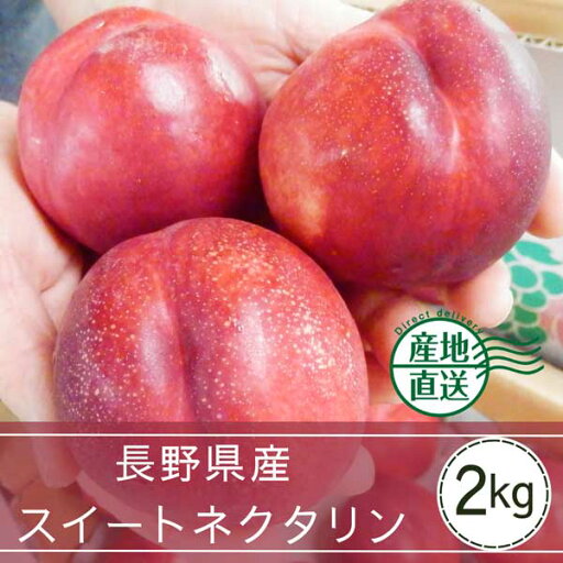 【送料込】長野県産 スイートネクタリン(2kg/7~12玉入り)※7月中旬~ 順次発送 【送料込】長野県産 スイートネクタリン(2kg/7~12玉入り)※7月中旬~ 順次発送