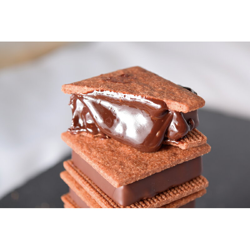 GAKU・チョコレートサンド6個セットG-1 [2024お中元]のサムネイル