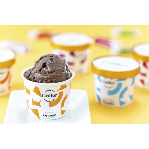 ガレー・プレミアムアイスクリーム8個セット GLN-8[2025お歳暮]