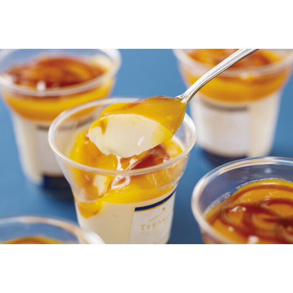 東京・小金井・TERAKOYA監修濃厚マンゴープリン TE-M6[2025お歳暮]