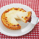 丸安田中屋・チーズケーキ「アントルメ」4026120 丸安田中屋・チーズケーキ「アントルメ」4026120