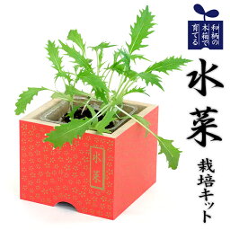 ★栽培キット【和柄の木箱で育てる水菜（ウッドポットガーデン）】和風ハーブ／日本の植物／花小紋／花柄／木製／キッチンガーデニング／栽培セット