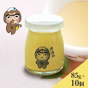しぶざるくん味噌プリン10個セット ギフト お中元 お土産 手土産 送料込(沖縄別途1,590円)