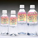 白馬アルプスプレミアムウォーター 500ml 24本入 送料込 (沖縄別途2,390円)