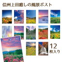 岡田フォト 信州上田癒しの風景ポスト12枚入り送料込 ※ネコポス・クロネコゆうパケットで発送
